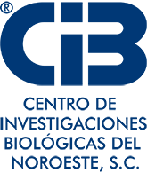 cibnor